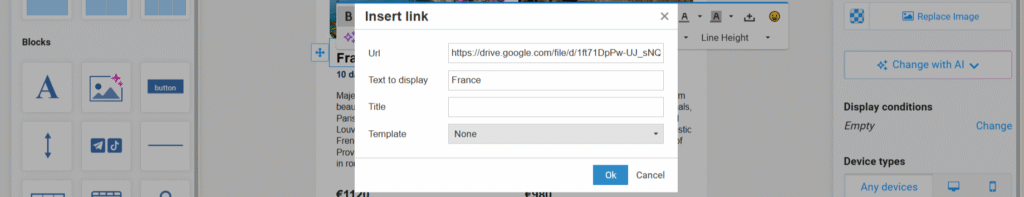 paste the copied Google Drive link into the "URL" field in NiceSender