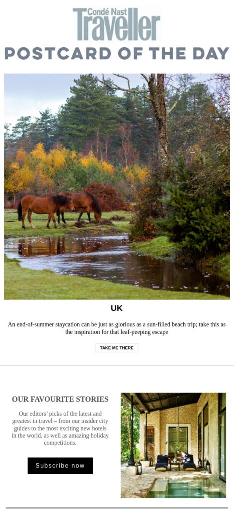 An email from Condé Nast Traveller showing two horses grazing by a stream in a vibrant autumn forest. This is a visual example for a World Tourism Day campaign.