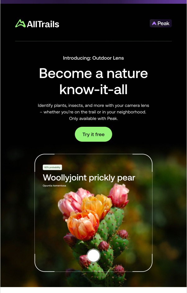 An email from AllTrails promoting a new feature with a screenshot of a phone app identifying a cactus. This is used as an example for a campaign on the International Day for Universal Access to Information.