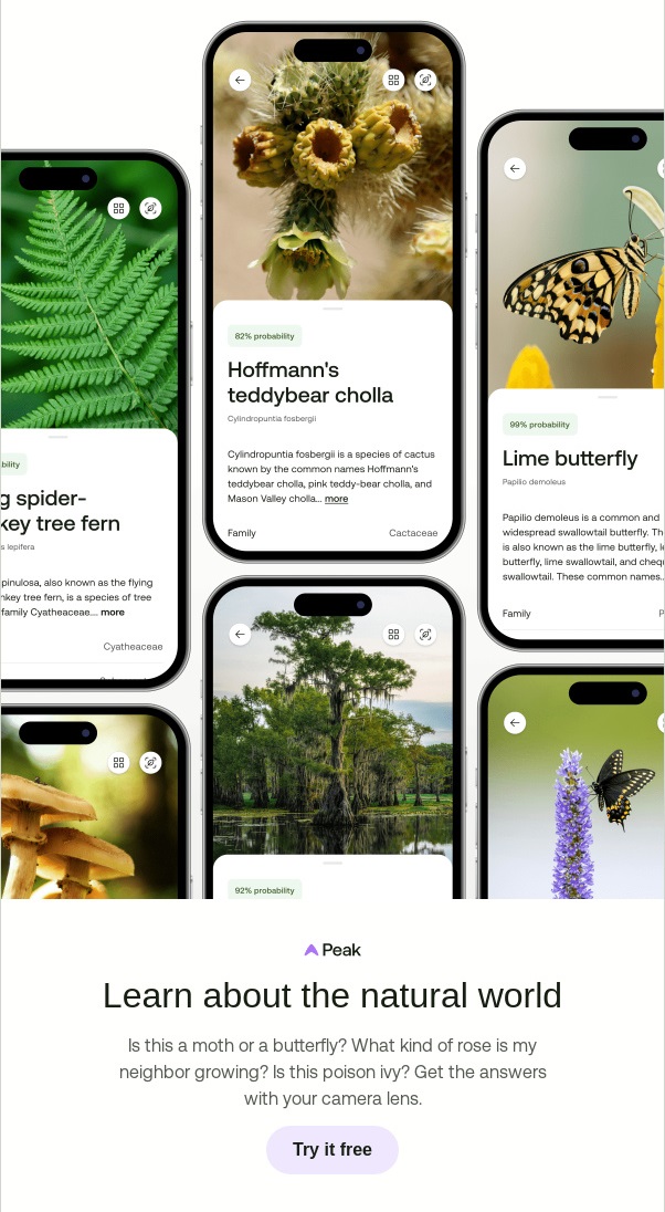 A collage of phone screenshots from the AllTrails app showing the identification of various plants and insects. This is a visual idea for a campaign on the International Day for Universal Access to Information.