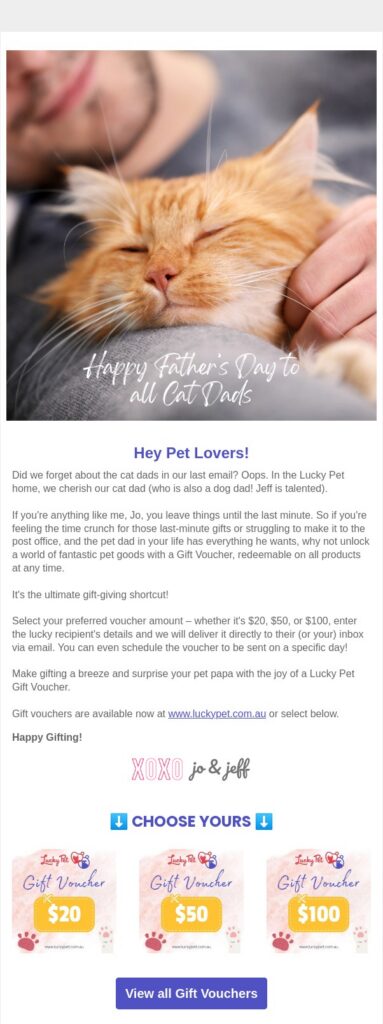 An email screenshot from Lucky Pet Supplies showing a happy ginger cat in the arms of its owner. This image is used as a visual idea for an email campaign on Ginger Cat Appreciation Day.