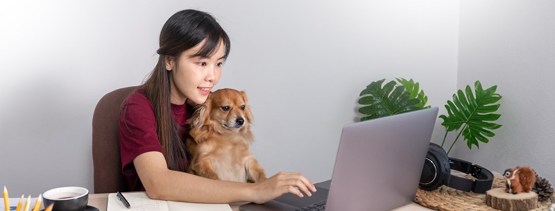 Asian woman on a couch with a laptop and a puppy, embodying remote work and work-life balance.