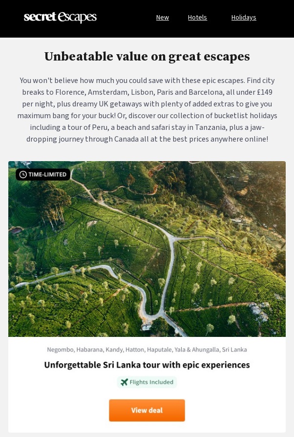 Example of a February Email Campaign